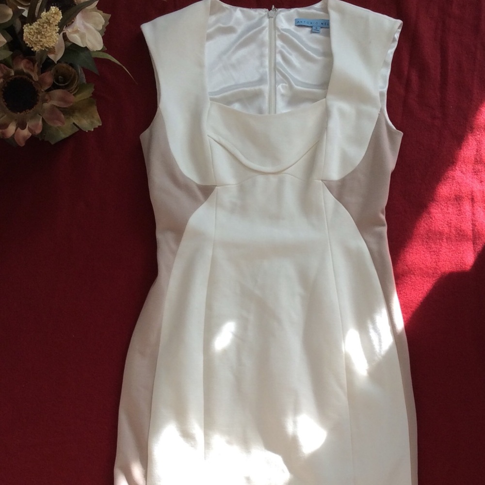 Antonio Melani dress